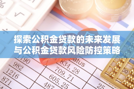 循化探索公积金贷款的未来发展与公积金贷款风险防控策略