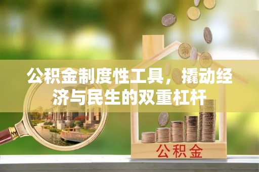 循化公积金制度性工具，撬动经济与民生的双重杠杆