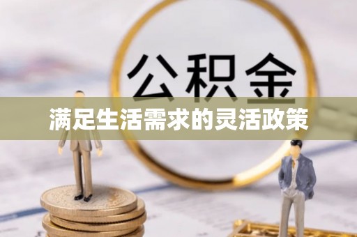 循化满足生活需求的灵活政策