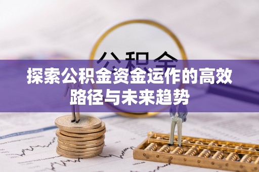 循化探索公积金资金运作的高效路径与未来趋势