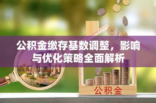 循化公积金缴存基数调整，影响与优化策略全面解析
