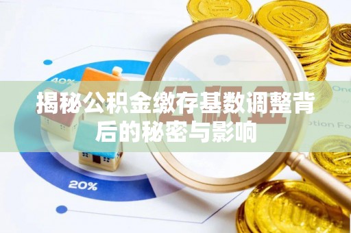 循化揭秘公积金缴存基数调整背后的秘密与影响