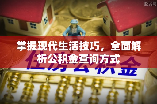 循化掌握现代生活技巧，全面解析公积金查询方式