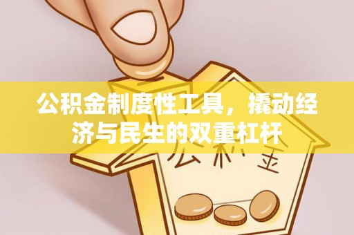 循化公积金制度性工具，撬动经济与民生的双重杠杆