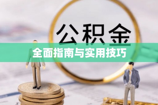 循化全面指南与实用技巧