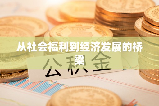 循化从社会福利到经济发展的桥梁