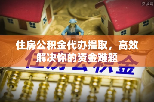 循化住房公积金代办提取，高效解决你的资金难题