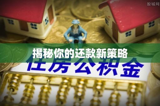 循化揭秘你的还款新策略