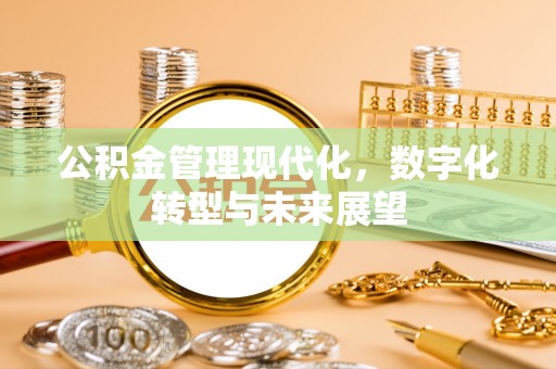 循化公积金管理现代化，数字化转型与未来展望