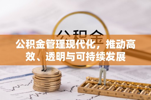 循化公积金管理现代化，推动高效、透明与可持续发展