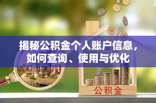 循化揭秘公积金个人账户信息，如何查询、使用与优化