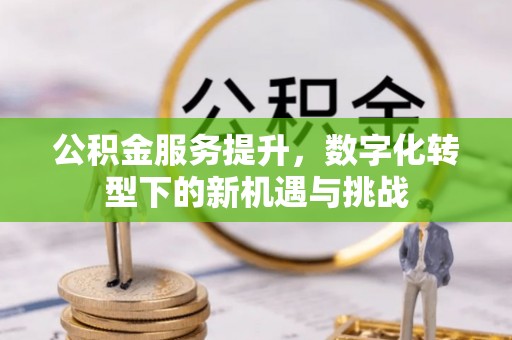 循化公积金服务提升，数字化转型下的新机遇与挑战