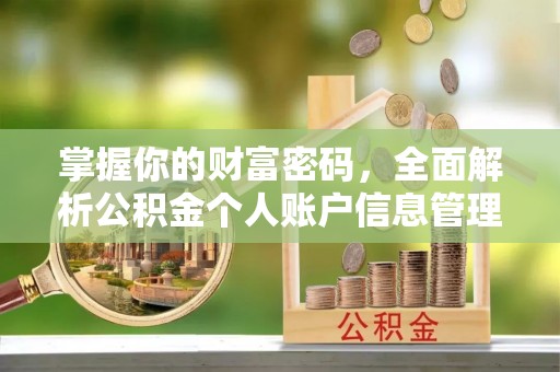 循化掌握你的财富密码，全面解析公积金个人账户信息管理与优化