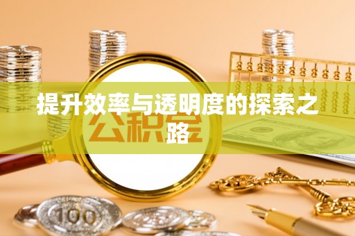 循化提升效率与透明度的探索之路