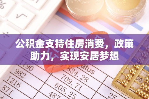 循化公积金支持住房消费，政策助力，实现安居梦想