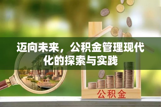 循化迈向未来，公积金管理现代化的探索与实践