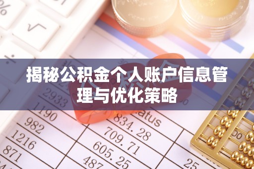 循化揭秘公积金个人账户信息管理与优化策略