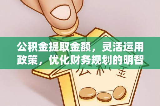 循化公积金提取金额，灵活运用政策，优化财务规划的明智选择