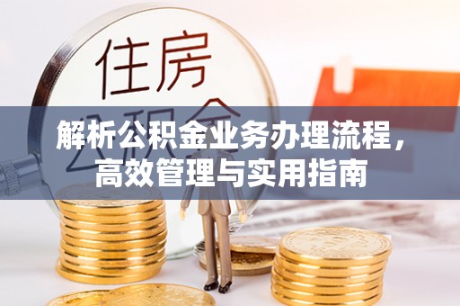 循化解析公积金业务办理流程，高效管理与实用指南