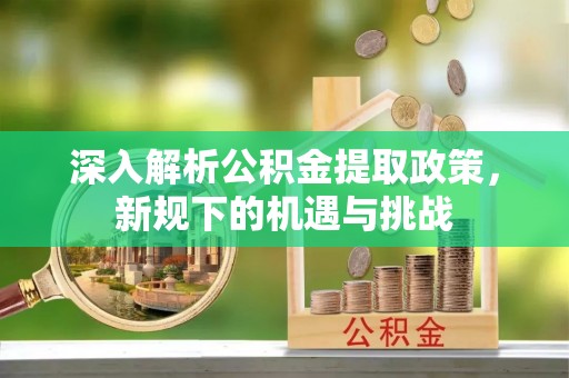 循化深入解析公积金提取政策，新规下的机遇与挑战