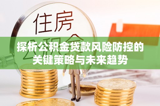 循化探析公积金贷款风险防控的关键策略与未来趋势