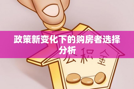 循化政策新变化下的购房者选择分析