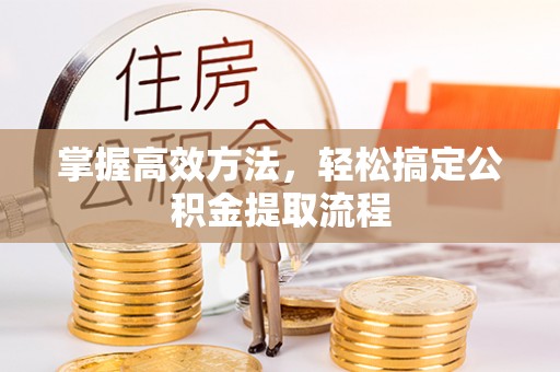 循化掌握高效方法，轻松搞定公积金提取流程