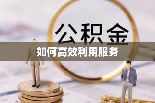 循化如何高效利用服务