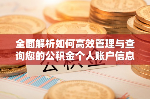 循化全面解析如何高效管理与查询您的公积金个人账户信息