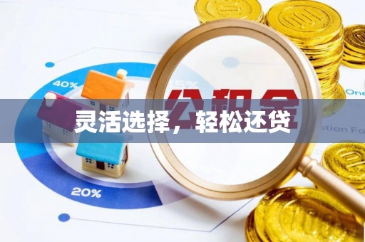 循化灵活选择，轻松还贷