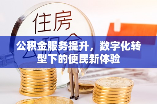 循化公积金服务提升，数字化转型下的便民新体验