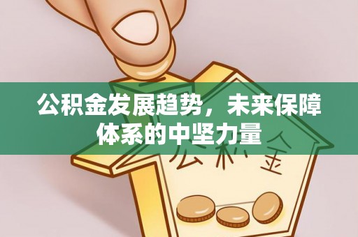 循化公积金发展趋势，未来保障体系的中坚力量