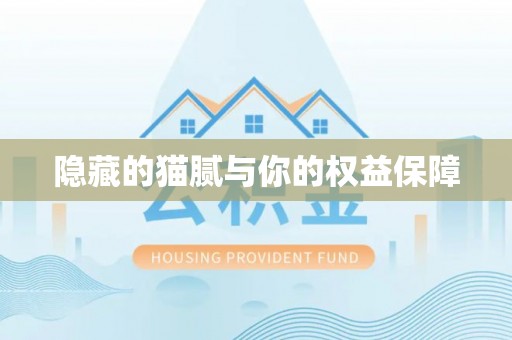 循化隐藏的猫腻与你的权益保障