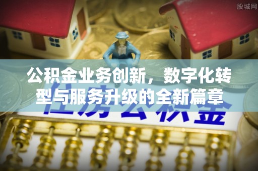 循化公积金业务创新，数字化转型与服务升级的全新篇章