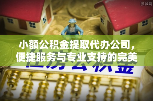 循化小额公积金提取代办公司，便捷服务与专业支持的完美结合