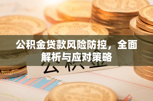 循化公积金贷款风险防控，全面解析与应对策略