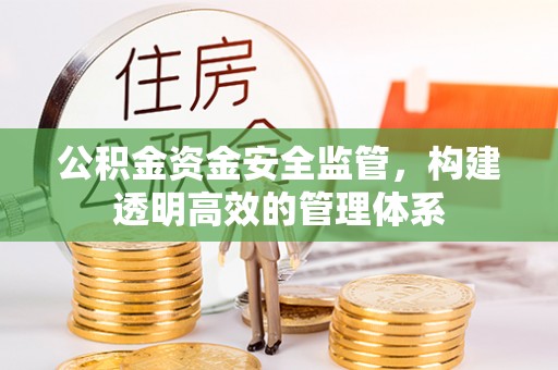 循化公积金资金安全监管，构建透明高效的管理体系