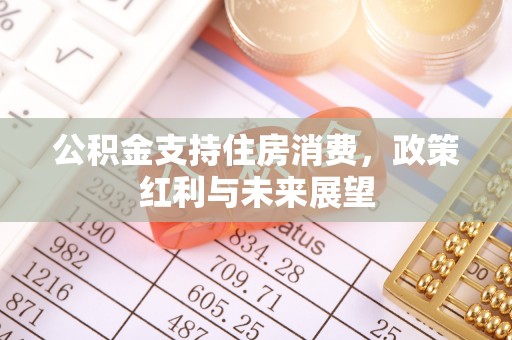 循化公积金支持住房消费，政策红利与未来展望