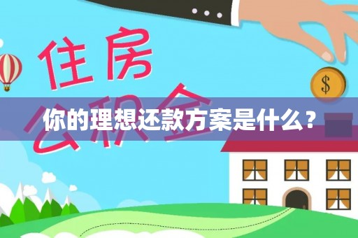 循化你的理想还款方案是什么？