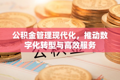 循化公积金管理现代化，推动数字化转型与高效服务