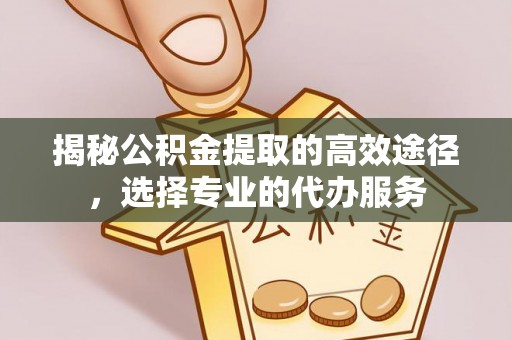 循化揭秘公积金提取的高效途径，选择专业的代办服务