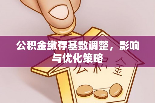 循化公积金缴存基数调整，影响与优化策略