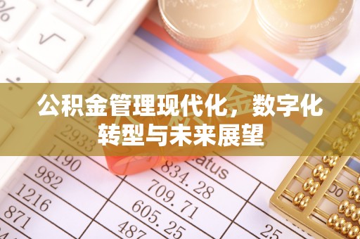 循化公积金管理现代化，数字化转型与未来展望