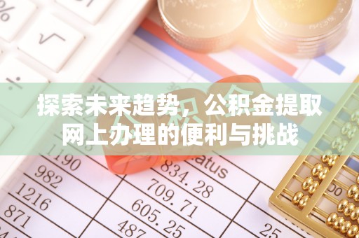 循化探索未来趋势，公积金提取网上办理的便利与挑战
