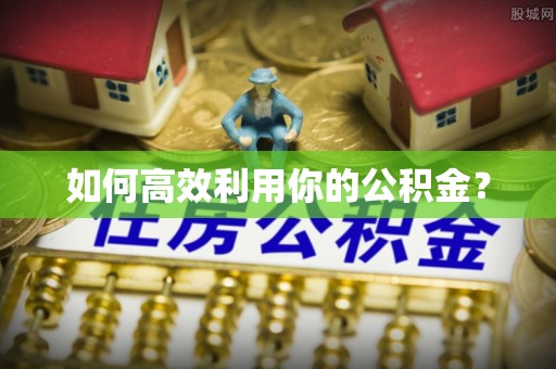 循化如何高效利用你的公积金？
