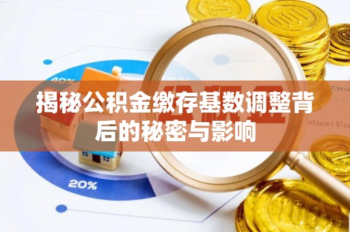 循化揭秘公积金缴存基数调整背后的秘密与影响