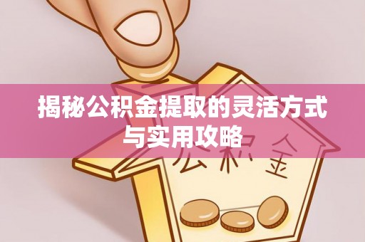 循化揭秘公积金提取的灵活方式与实用攻略