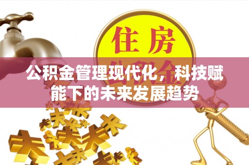 循化公积金管理现代化，科技赋能下的未来发展趋势