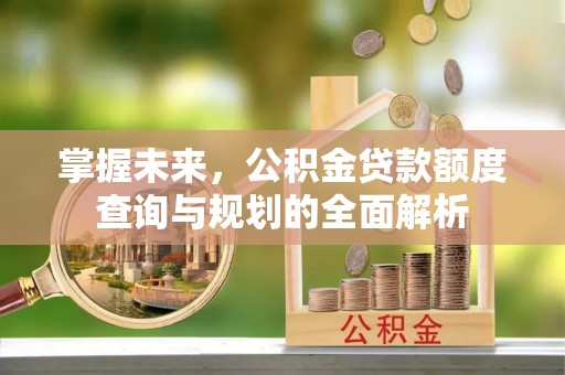 循化掌握未来，公积金贷款额度查询与规划的全面解析