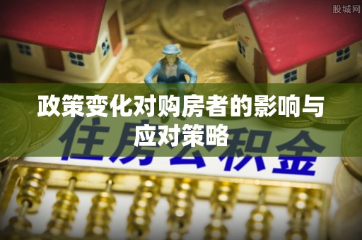 循化政策变化对购房者的影响与应对策略